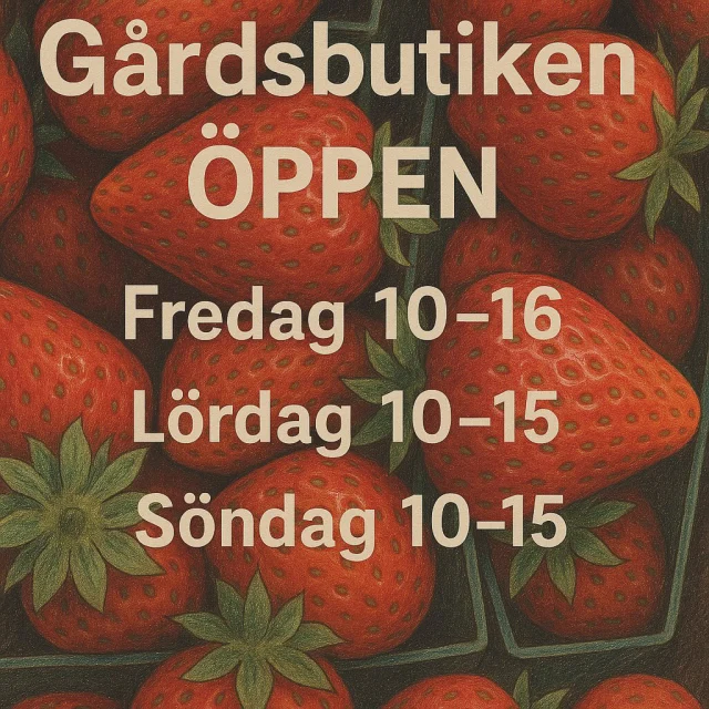 V E C K A N S  Ö P P E T T I D E R 🍓🍓