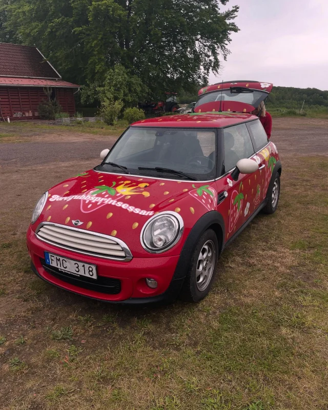 Igår hade vi besök av det här fantastiska energiknippet. En härlig förebild för våra unga. Lycka till med allt i Stockholm. Hoppas att vi ses igen @jordgubbsprinsessann 🍓🍓