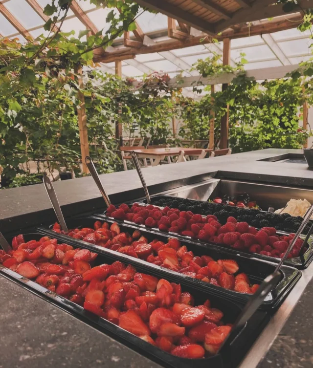 Nu händer det vi öppnar bärbuffen 🍓🍓
Öppettider: 
TORSDAG 29 maj 
🍓Café & Gårdsbutik 10-17
🍕 Pizzeria 11.30-15

FREDAG 30 maj
Endast Gårdsbutik 10-17

LÖRDAG 31 maj SÖNDAG 1 juni
🍓Café & gårdsbutik 10-17
🍕Pizzeria 11.30-15

VÄLKOMNA!