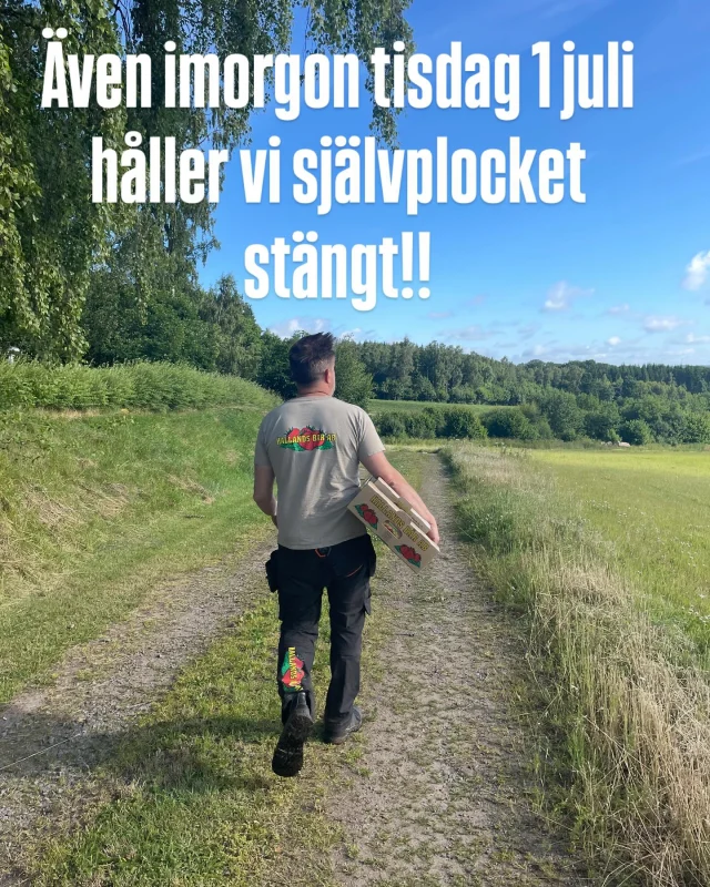 Instagram post 18508899340058339