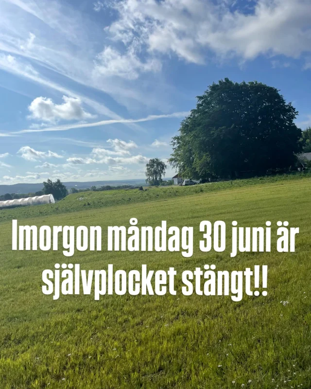 Instagram post 17875332189265387
