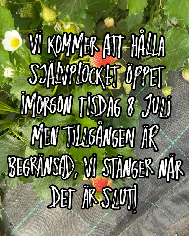 Instagram post 18313949911243131
