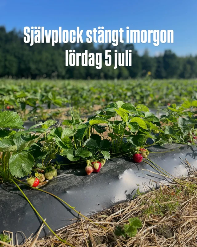 Instagram post 17913520839033257