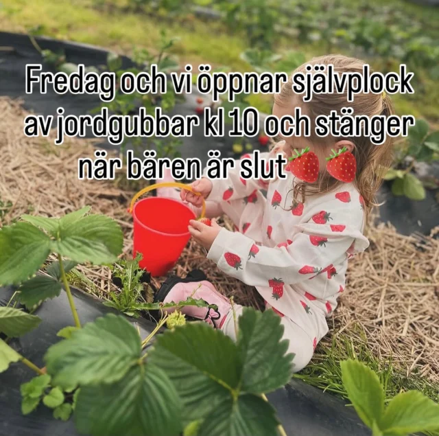 Instagram post 17998549928684597