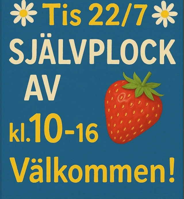 OBS! Vi kan behöva stänga om bären tar slut!
Inget självplock av hallon idag!!