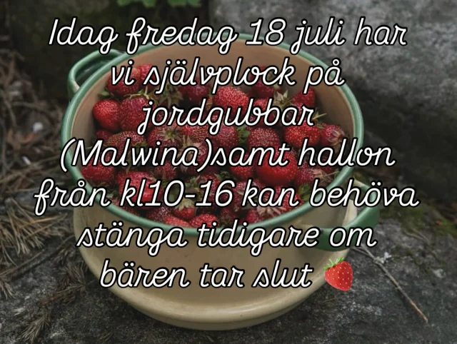 Instagram post 17852723328496013