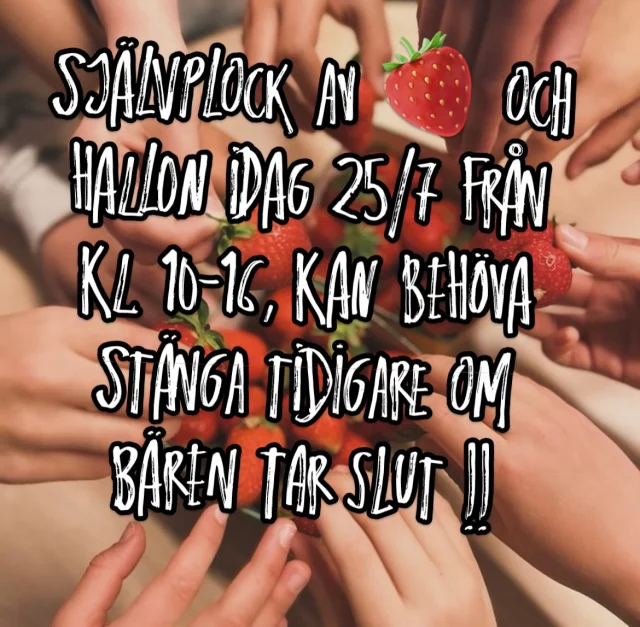 Instagram post 18046807421558037