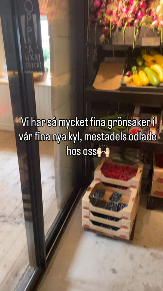 Instagram post 18092519554649797