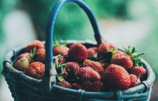 Självplock av jordgubbar o hallon idag mån 4/8, kl 10-16. 
Än är inte sommaren slut vi har öppet alla dagar i två veckor till🍓
Gårdsbutik & Café 10-17 
Pizzeria 11.30-15.30 

Vi ses väl !!