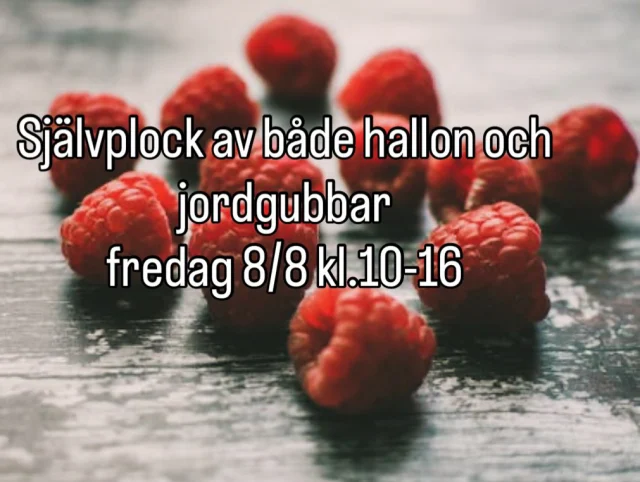 Instagram post 18036376733443192