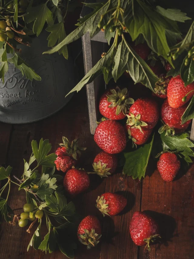 Självplock av jordgubbar ons 13/8 kl 10-16, det finns att plocka hallon om man letar. 

Café & gårdsbutik 10-17 
Pizzeria 11.30-15.30

V Ä L K O M N A🍓
