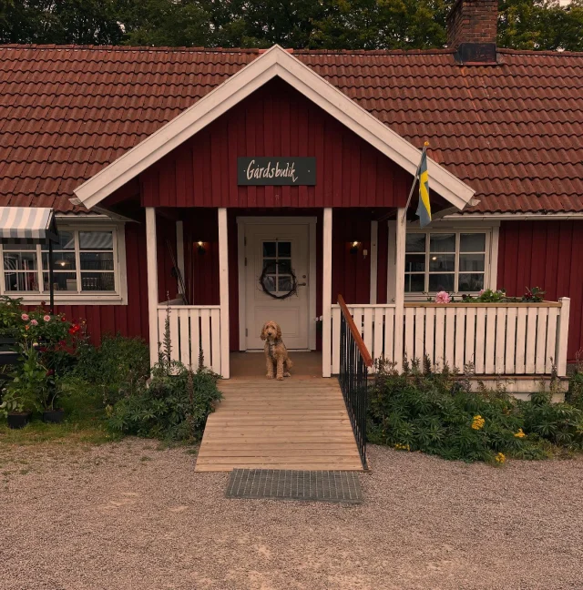Imorgon fredag 22/8 öppnar vi upp gårdsbutiken för dig som vill handla inför helgen kl. 10-17

ÖPPETTIDER I HELGEN (lör & sön )

Gårdsbutik & café 10-17 
Pizzeria 11.30-15.30
Det kommer även att gå att plocka lite jordgubbar för den som vill, man väger & betalar i gårdsbutiken! 

VI SES VÄL ??
