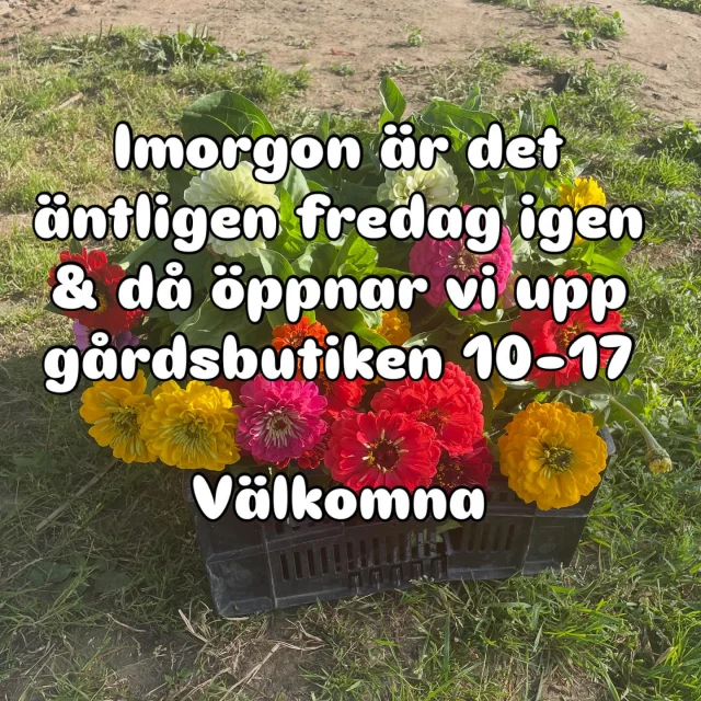 Instagram post 18019846052758702