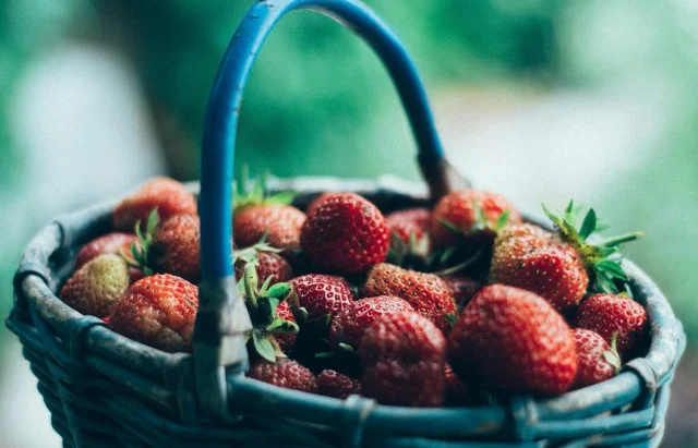 Sista chansen idag söndag 31/8 att plocka jordgubbar, väg o betala i gårdsbutiken🍓

Öppet som vanligt
Café o gårdsbutik 10-17 
Pizzeria 11.30-15.30