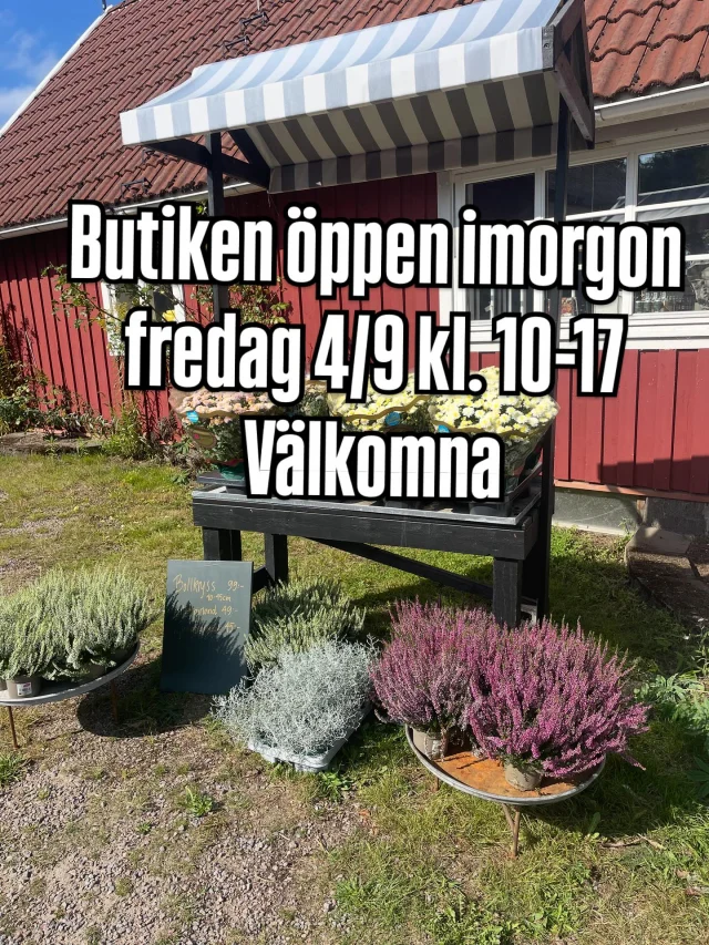 På lördag har vi abonnerat på Stora Berg vi ska få uppleva ytterligare ett bröllop! 

SÖNDAG öppet som vanligt 
Gårdsbutik & café 10-17 
Pizzeria 11.30-15.30