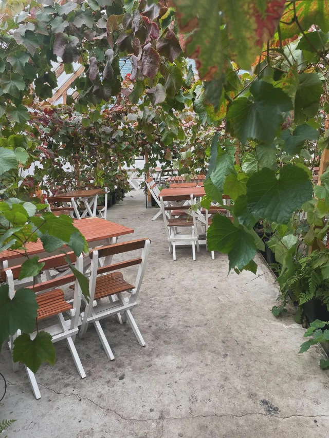 Kom o fika hos oss innan vi stänger för säsongen. Öppet lördag o söndag 

Gårdsbutik & café 10-17
Pizzeria 11.30-15.30

V Ä L K O M N A !!