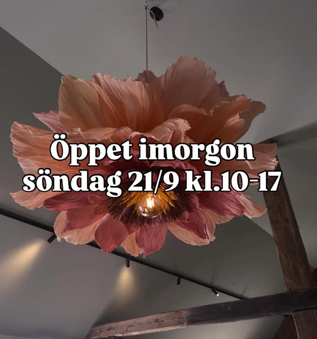 Vi öppnar upp gårdsbutiken för en enklare fika och en go kaffe ifrån vår kaffemaskin. 
Kylen är full med egenodlade grönsaker o jordgubbar samt hallon. 

Hoppas vi ses 😍
Lillie & Alfred