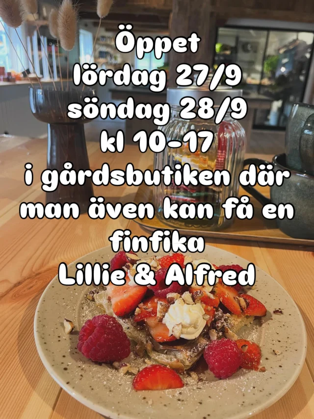 Instagram post 18075319109028193