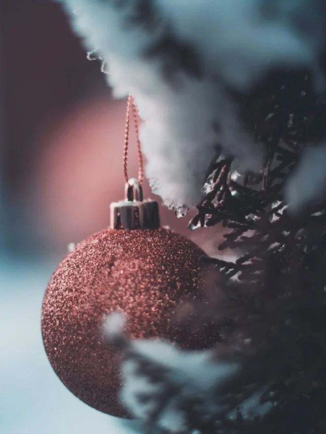 Till er som vill prova på ett annorlunda julbord så finns det platser kvar torsdagen den 11 december kl. 18-22. 
Boka gör man på pizzerian@hallandsbar.se

H O P P A S  V I  S E S 🎄