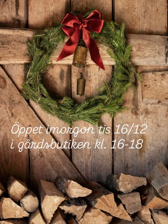 Instagram post 18003127616831915